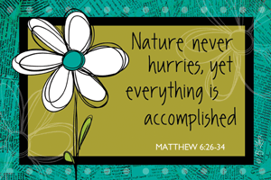 Nature never hurries, yet everything is accomplished