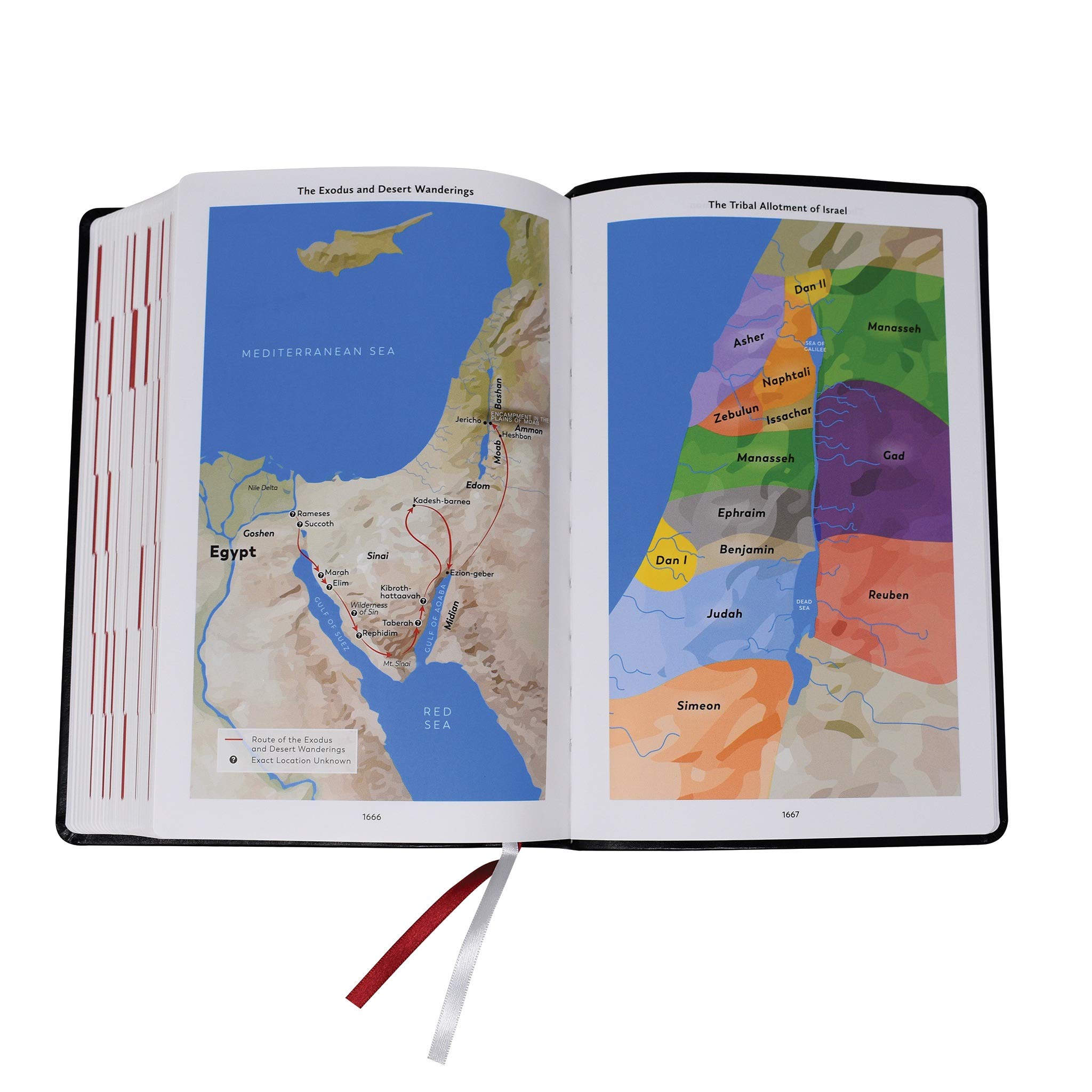 Divine Mercy Catholic Bible