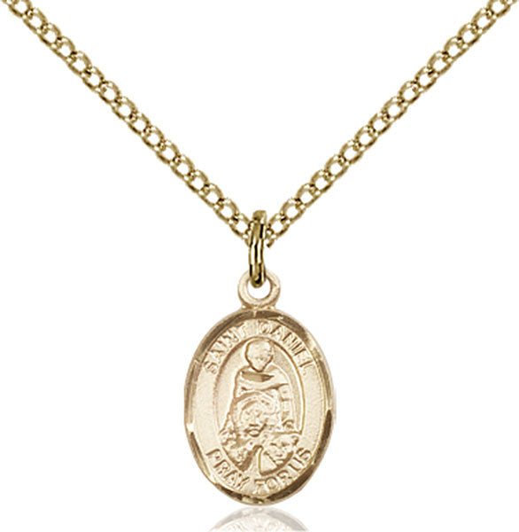 Gold Filled St. Daniel Pendant
