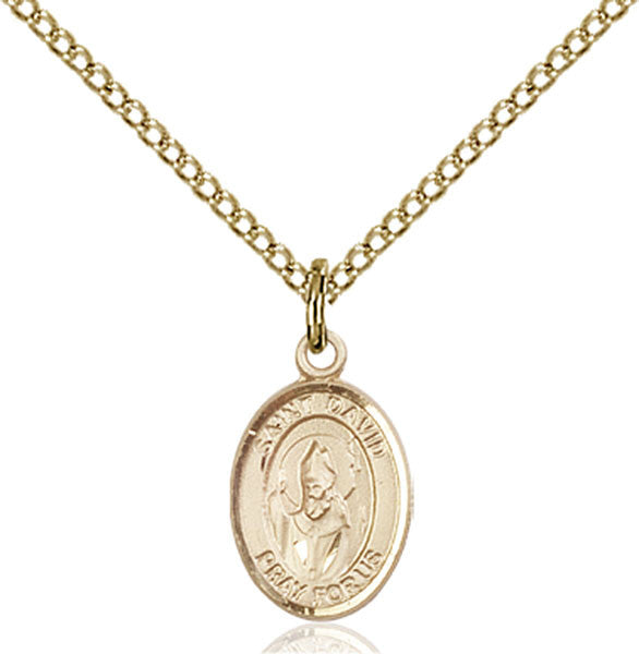 Gold Filled St. David of Wales Pendant