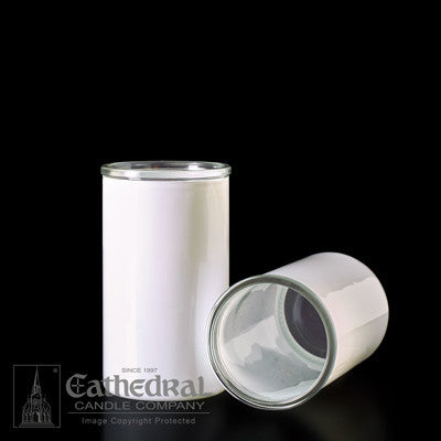 Inserta-Lite Reusable Globe | 3-Day glass