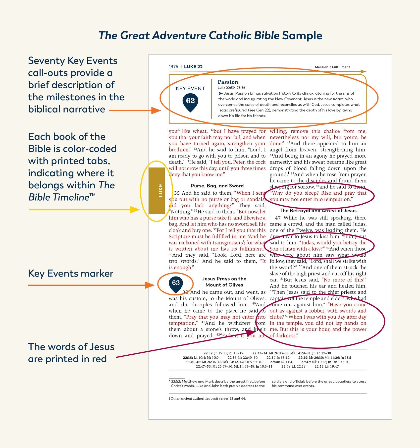 Biblia católica de la gran aventura (tapa blanda)