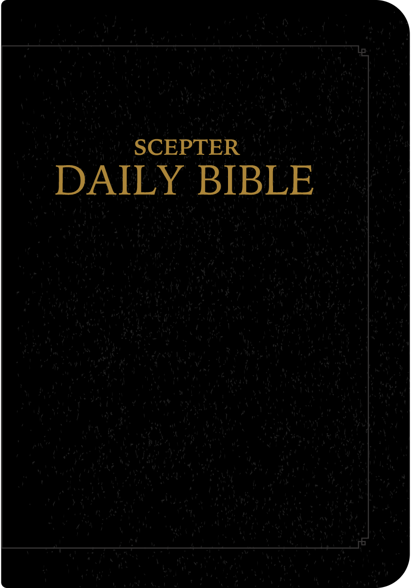 Scepter Daily Bible RSVCE Simulated Leather (Our Travel Bible)