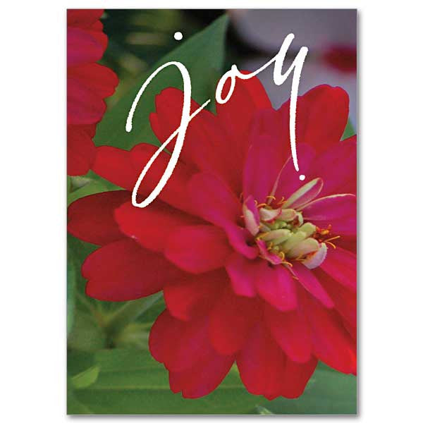 Joy