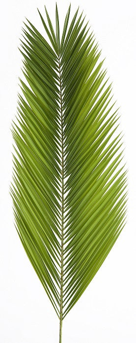 Date | Palm Altar Decorations (Bag of 4)