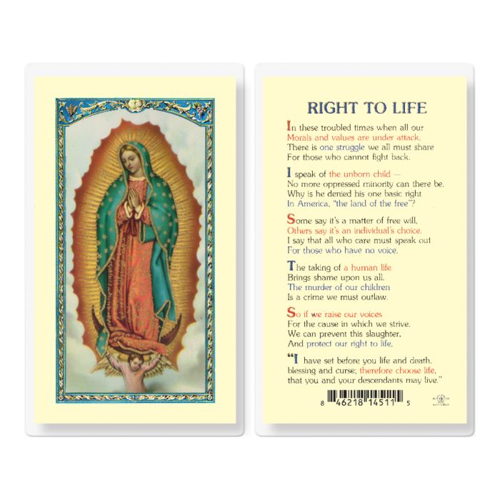 Nuestra Señora de Guadalupe - Derecho a la Vida