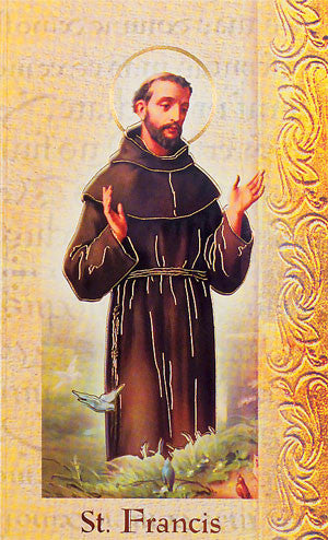 Biography Of St Francis Of