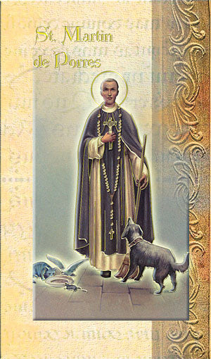 Biography Of St Martin De