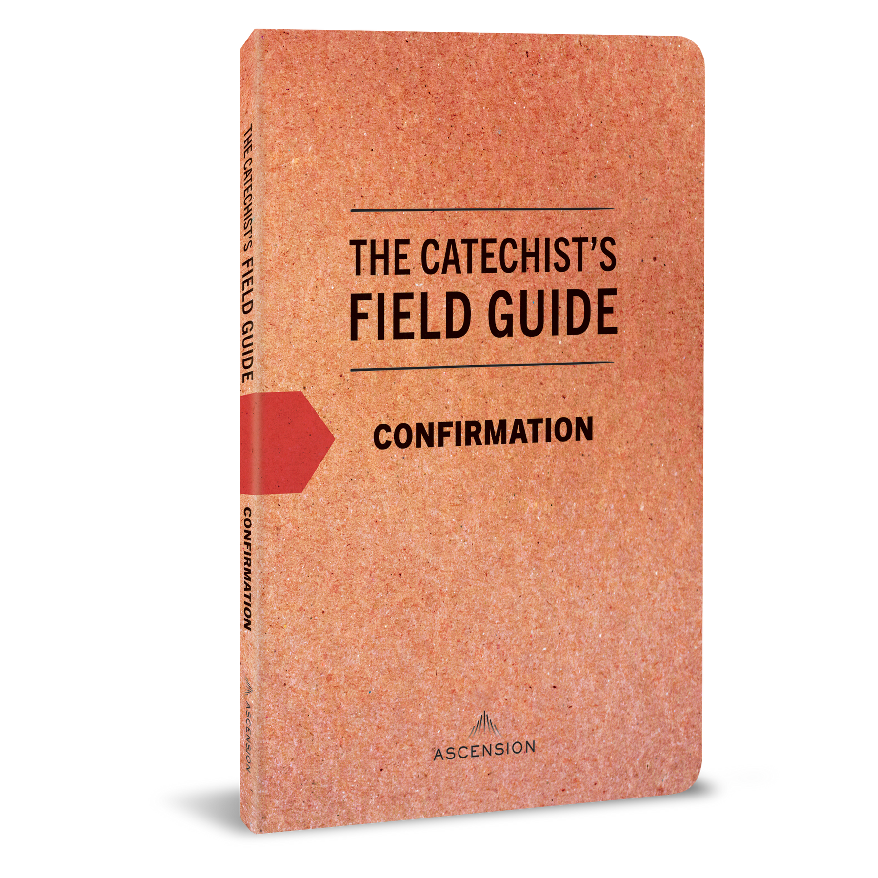 Guía práctica del catequista para la confirmación