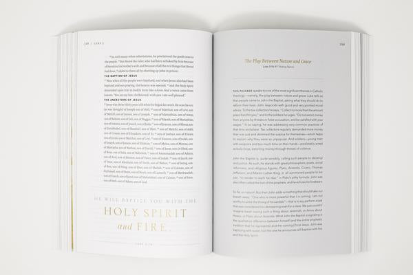 Word on Fire Bible (Volume 1): The Gospels - Paperback