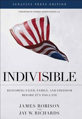 Indivisible & Voting Guidelines