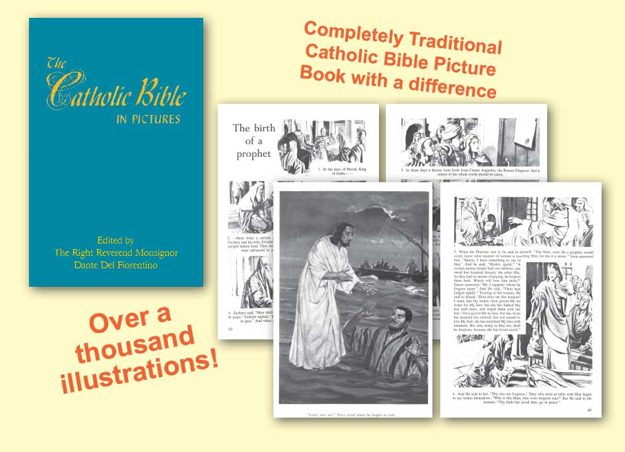 Catholic Bible in Pictures