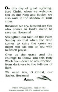 Prayer for Palm Sunday