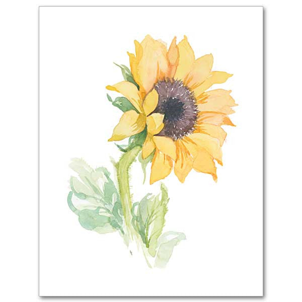 Sunflowers Petite Note Floral Water Colors