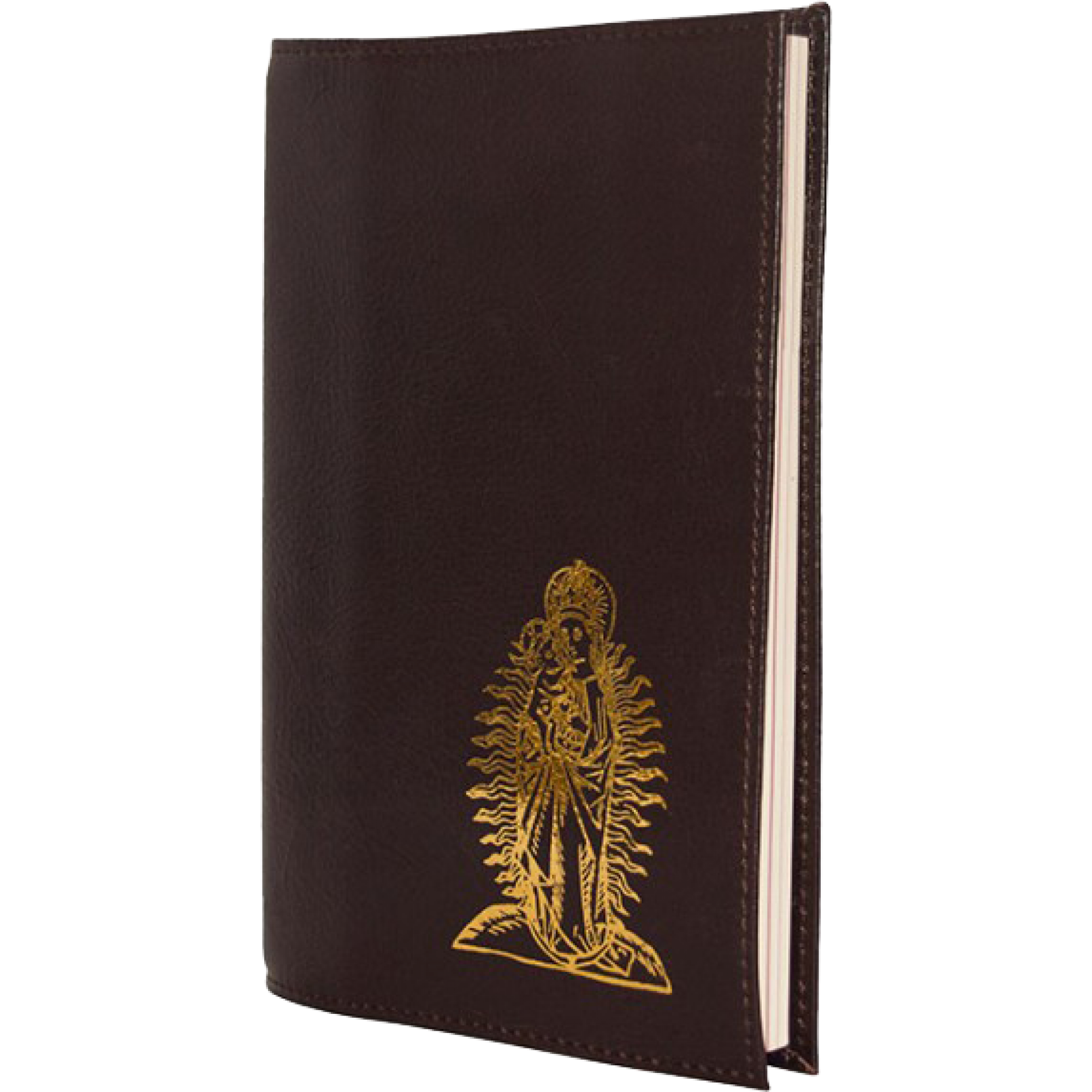 Magnificat Brown leather cover (Regular)