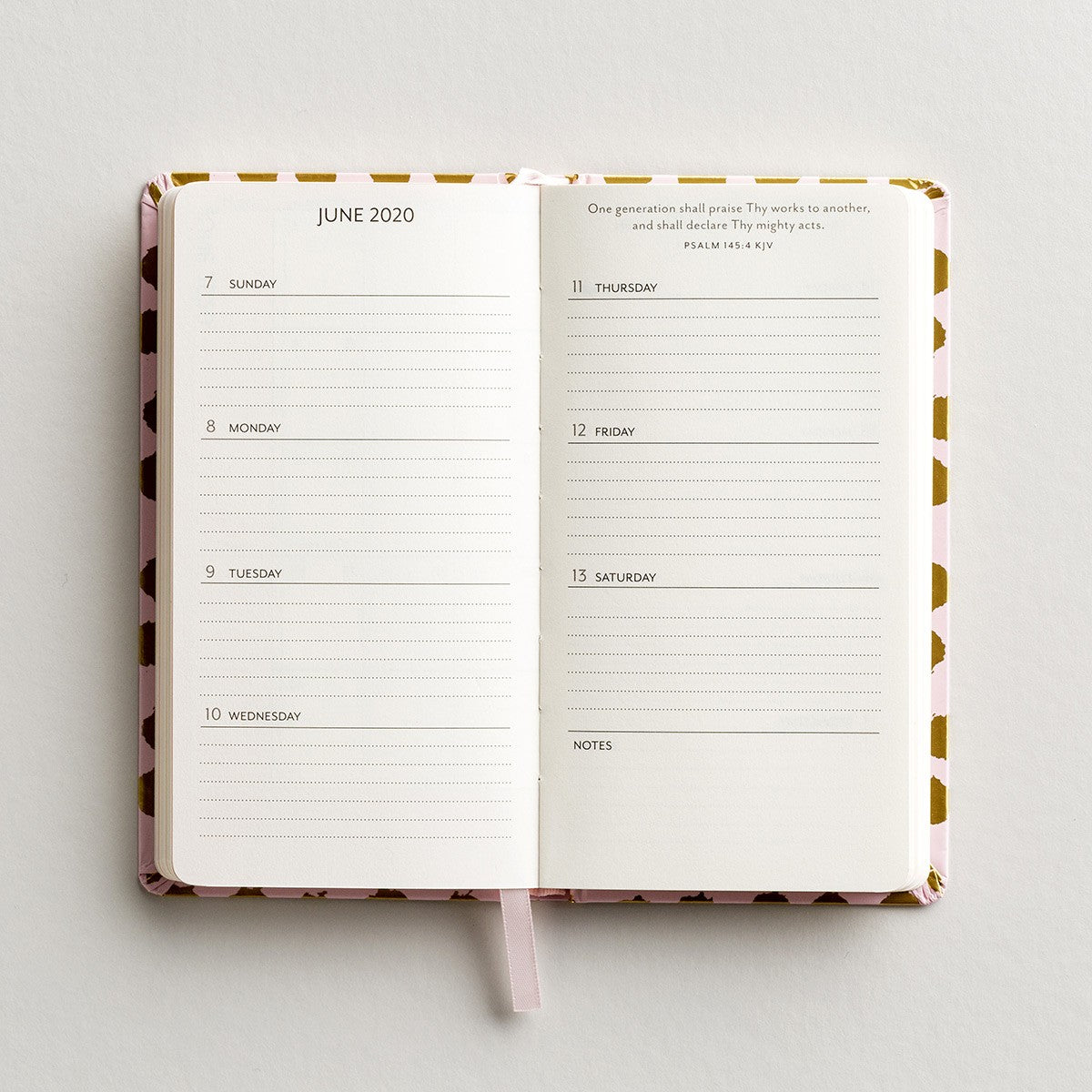 Premium Inspirational Pocket Planner-2020-Dots