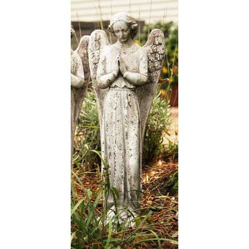 Angel Cari Hands Prayer