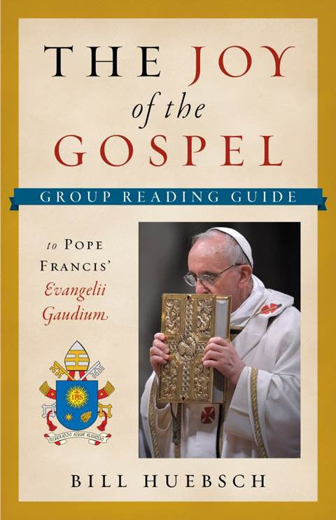 Joy of Gospel Group Reading Guide
